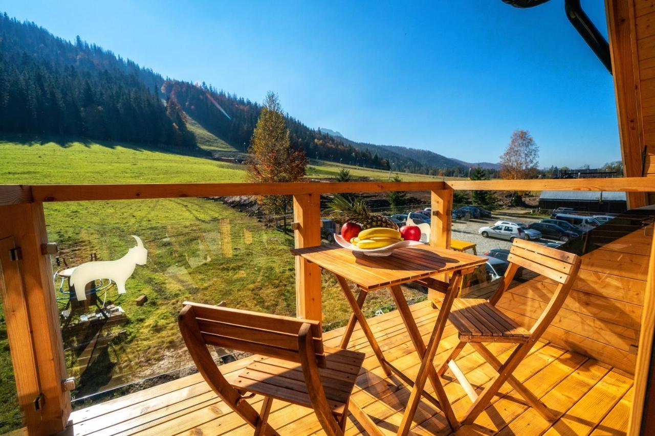 Nosal Apartment Zakopane Dış mekan fotoğraf